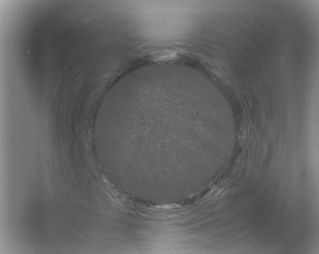 X0000066941441200604071900