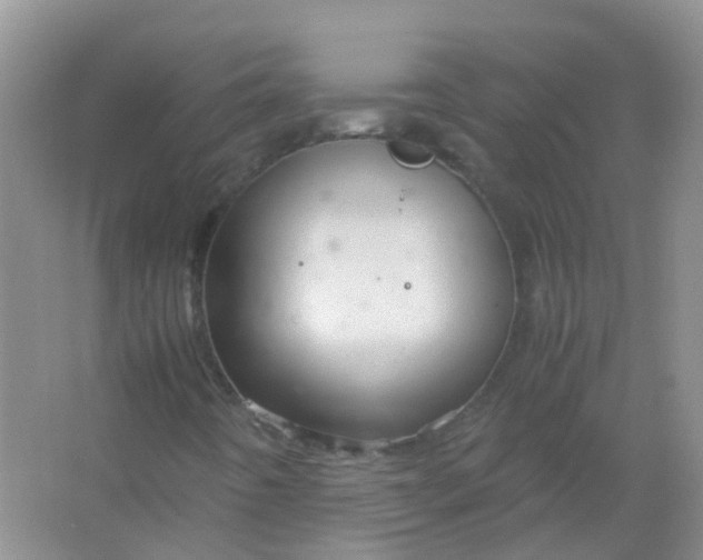 X0000066941442200604071900