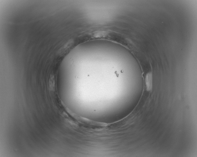 X0000066941443200604071900