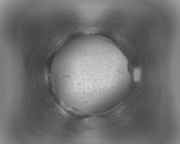 X0000066941444200604071900