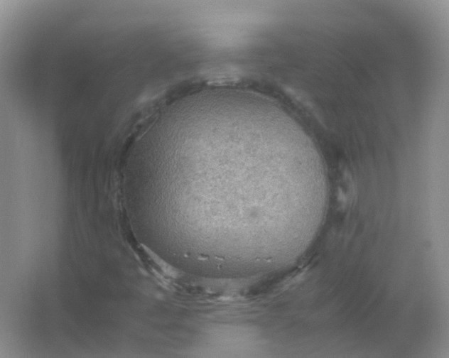 X0000066941445200604071900