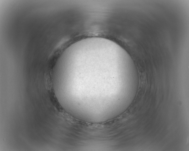 X0000066941446200604071900