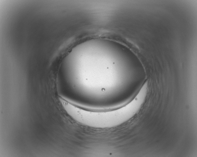 X0000066941447200604071900