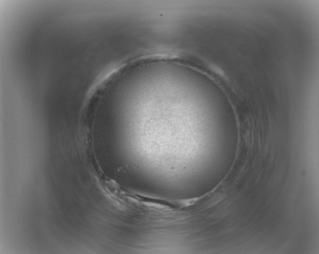 X0000066941448200604071900