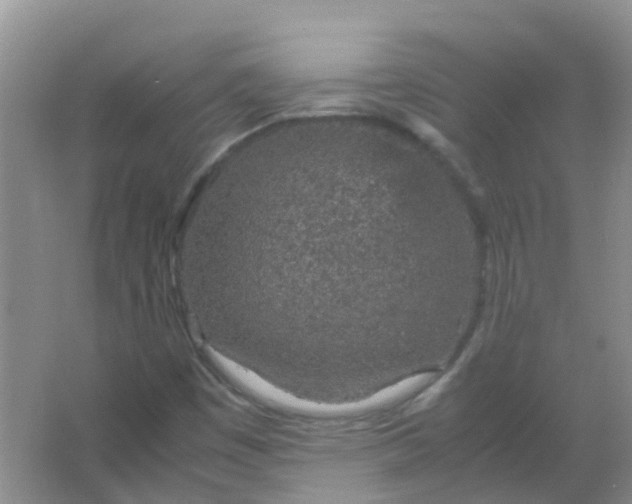 X0000066941449200604071900