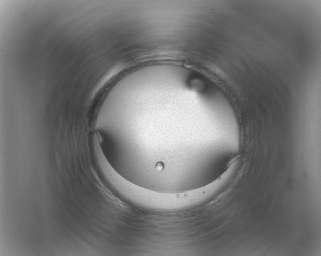 X0000066941450200604071900