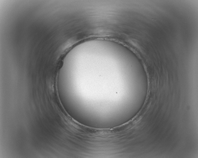 X0000066941451200604071900