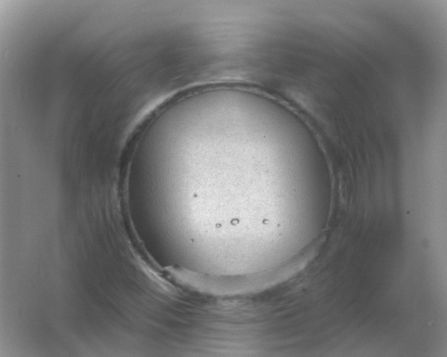 X0000066941452200604071900