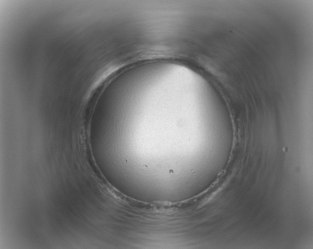 X0000066941453200604071900