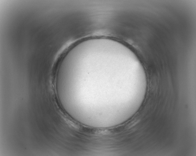 X0000066941454200604071900