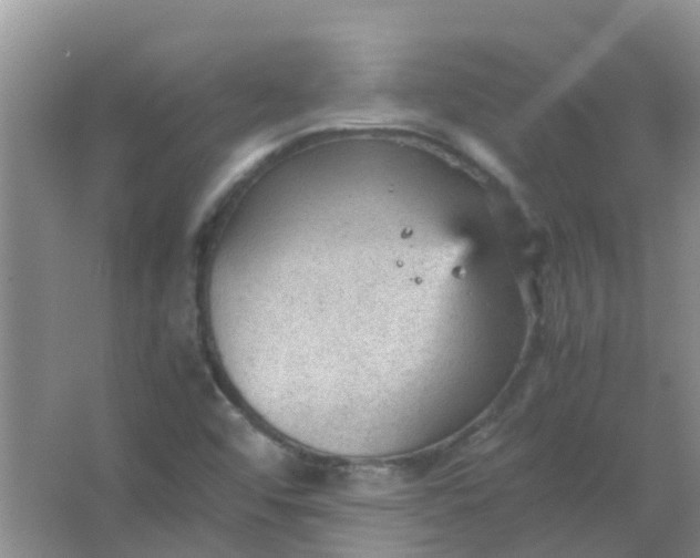 X0000066941456200604071900