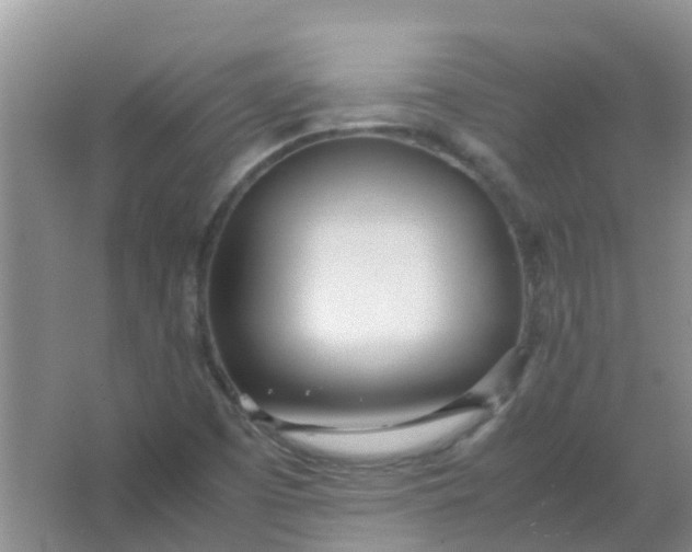 X0000066941457200604071900