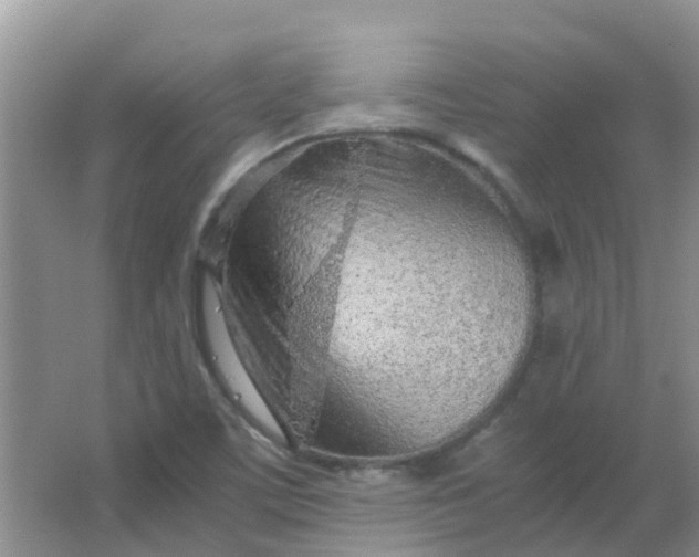 X0000066941459200604071900