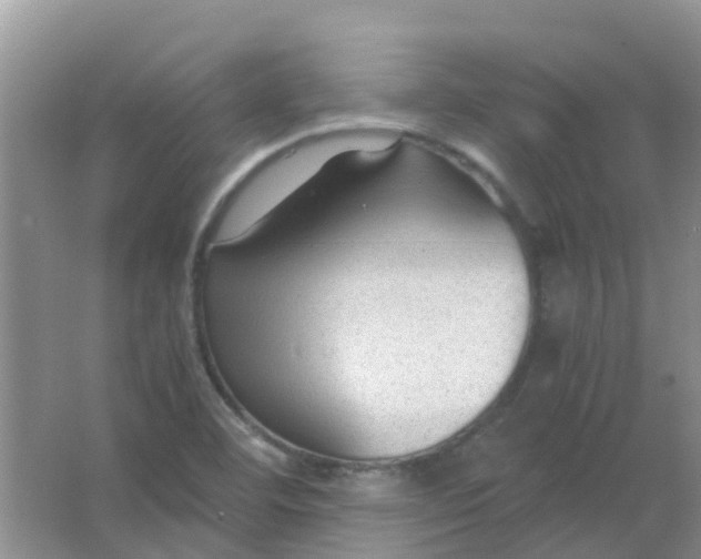 X0000066941460200604071900