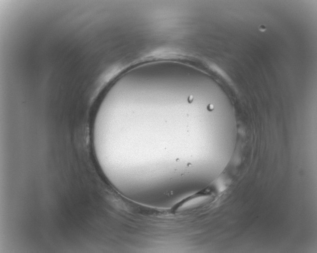 X0000066941461200604071900