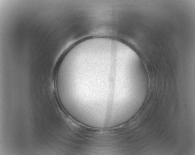 X0000066941462200604071859