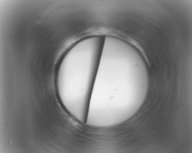 X0000066941464200604071859