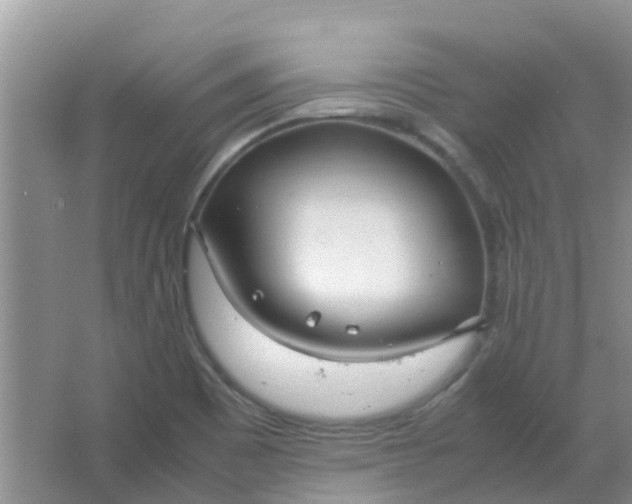 X0000066941465200604071859