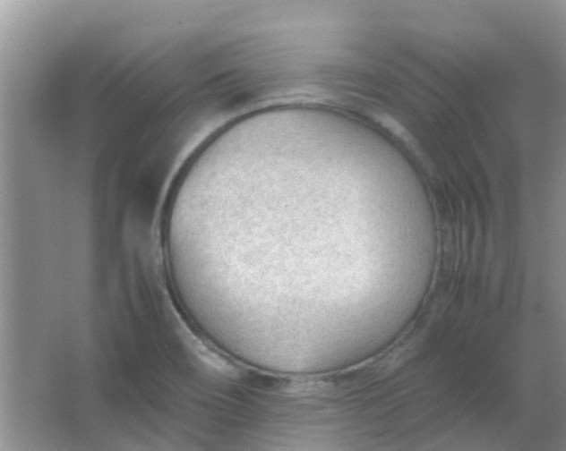 X0000066941466200604071859