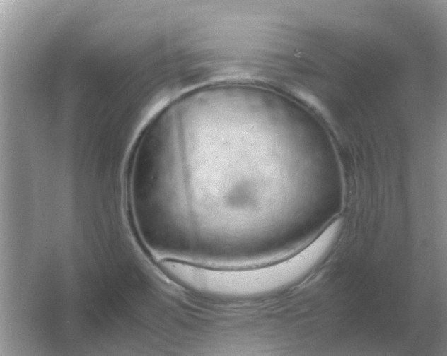 X0000066941467200604071859