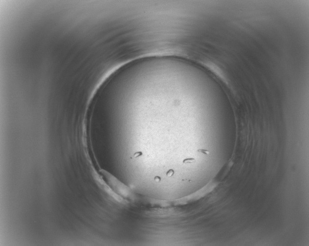 X0000066941468200604071859