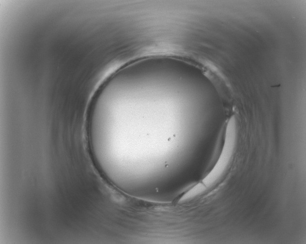 X0000066941469200604071859