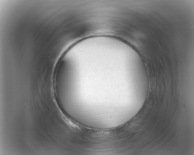 X0000066941470200604071859