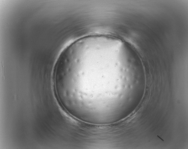 X0000066941471200604071859