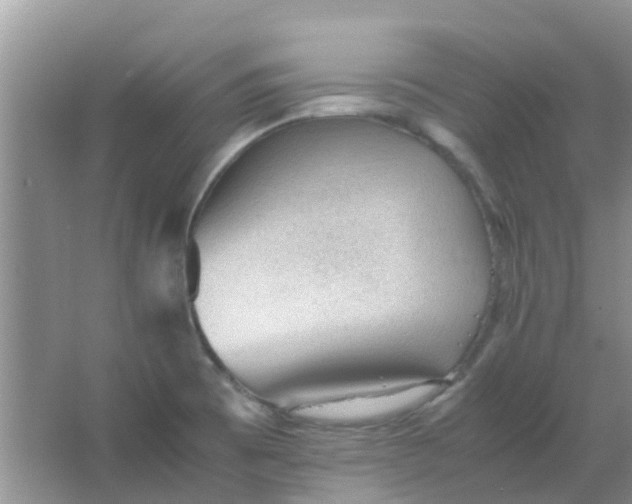 X0000066941473200604071859