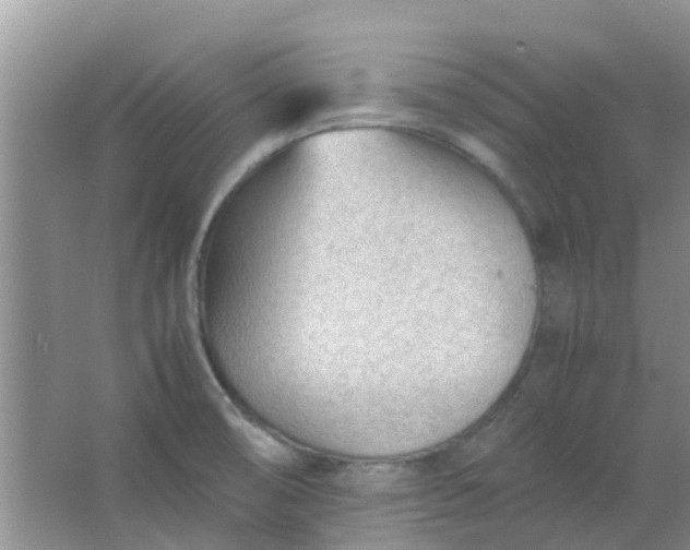 X0000066941474200604071859