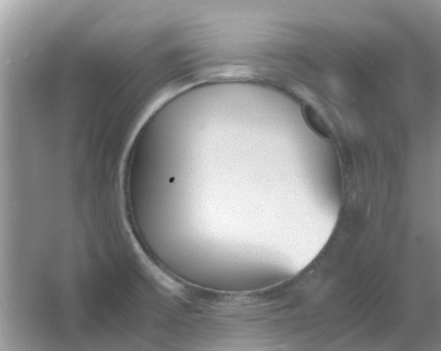 X0000066941475200604071859