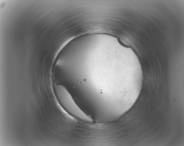 X0000066941476200604071859