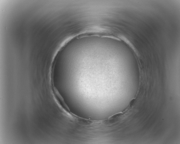 X0000066941477200604071859