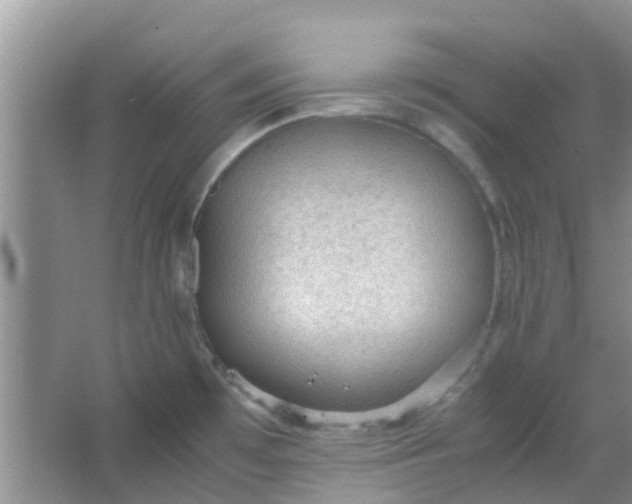 X0000066941481200604071859