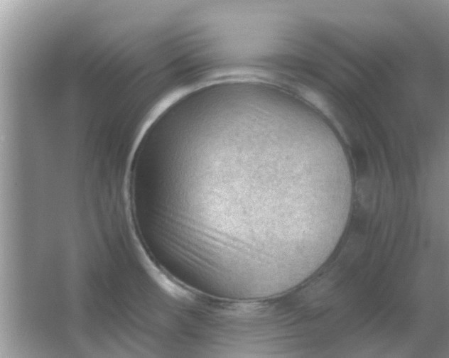 X0000066941482200604071859