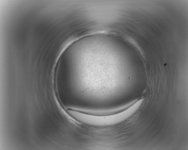 X0000066941483200604071859