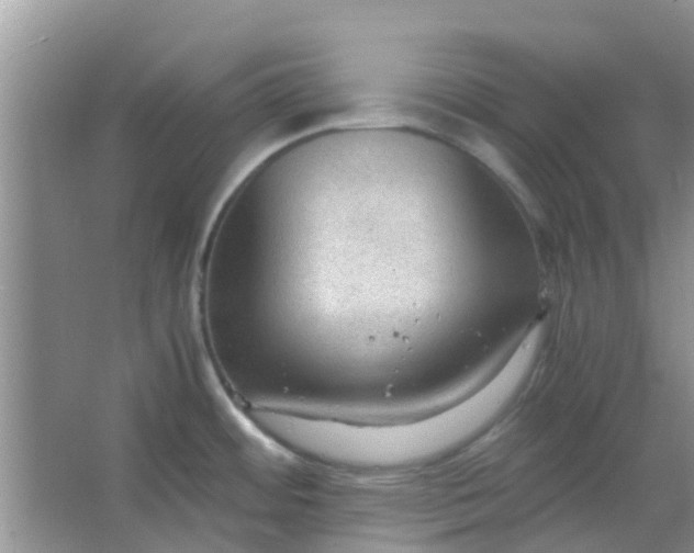 X0000066941484200604071859