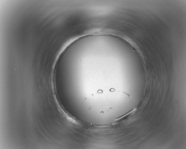 X0000066941486200604071859