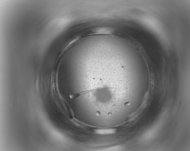 X0000066941487200604071859