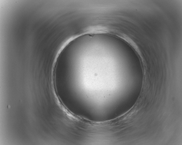 X0000066941488200604071859