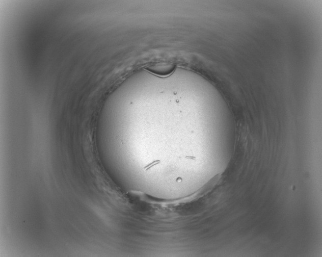 X0000066941489200604071858