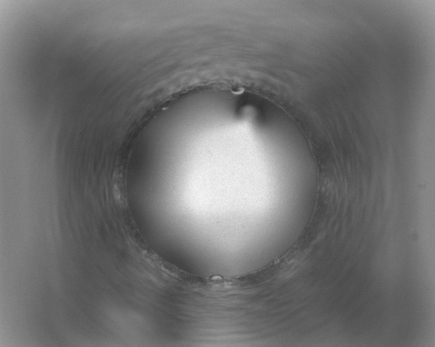 X0000066941490200604071858