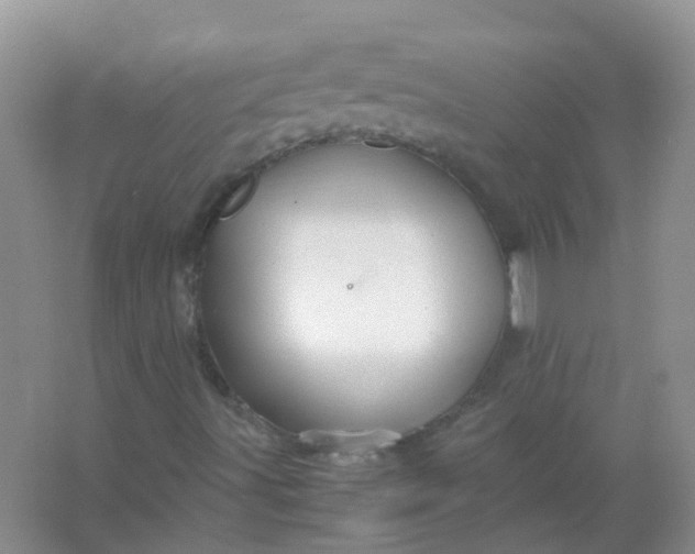 X0000066941491200604071858