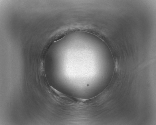 X0000066941492200604071858