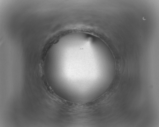 X0000066941493200604071858