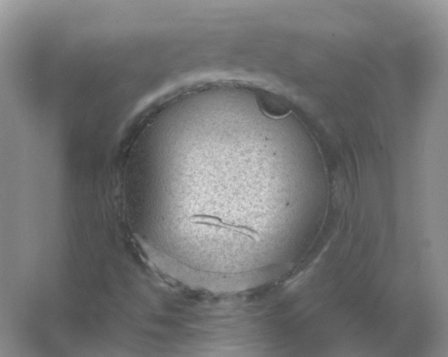 X0000066941494200604071858