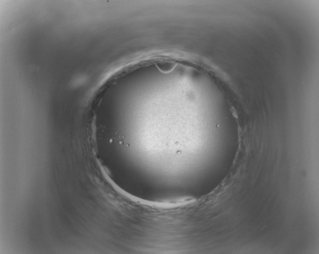 X0000066941496200604071858