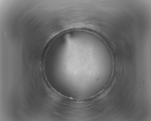 X0000066941497200604071858