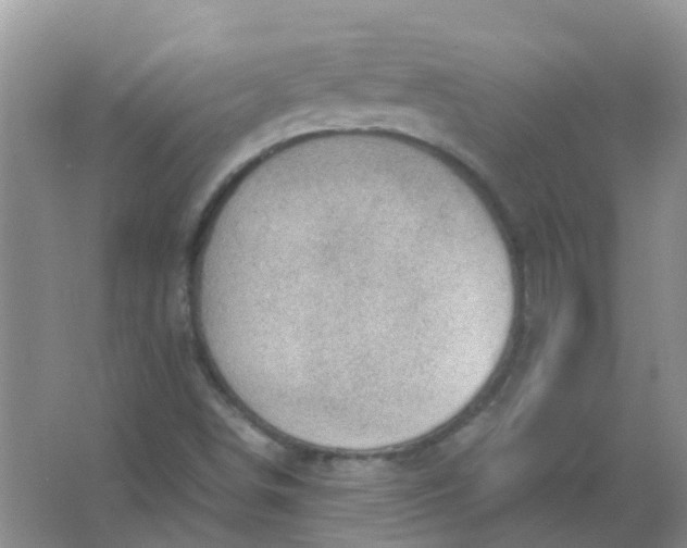 X0000066941498200604071858