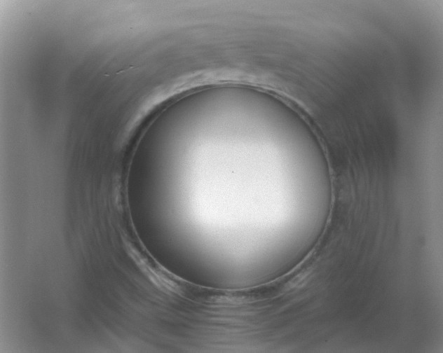 X0000066941499200604071858